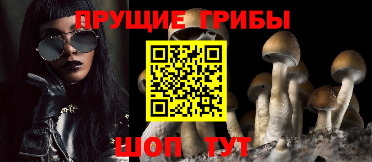 Галлюциногенные грибы Psilocybe Канаш