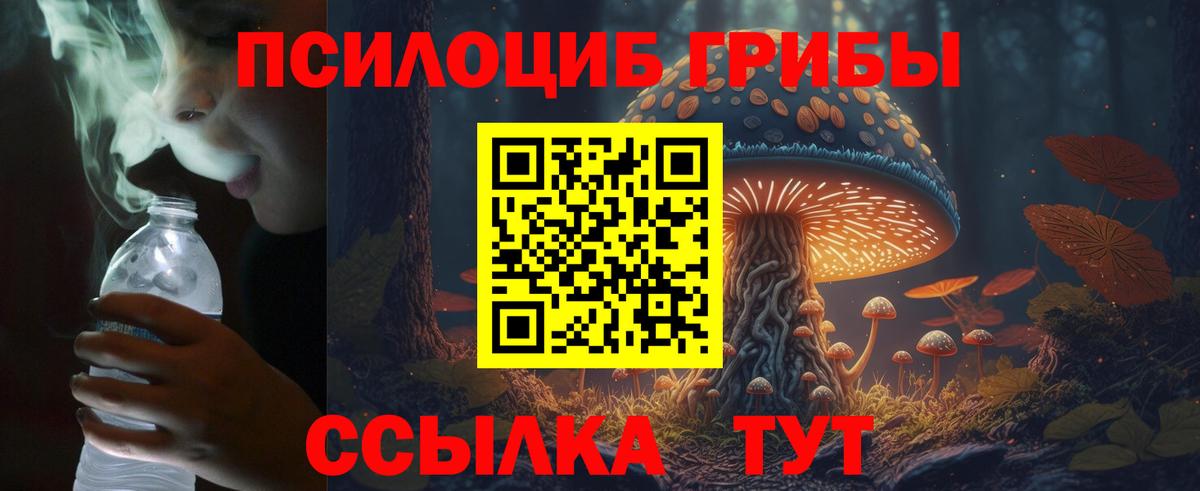 Псилоцибиновые грибы прущие грибы  Вход с VPN  Канаш  Псилоцибиновые грибы MAGIC MUSHROOMS 